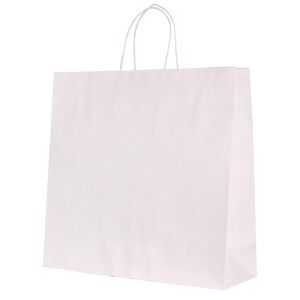 White Kraft Paper Bag with Twisted Cord Handles